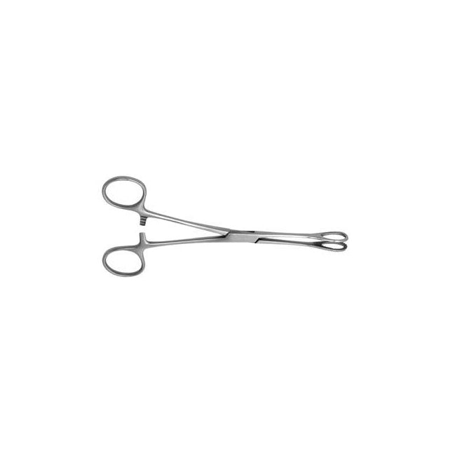 Foester Sponge Forcep, Straight, 9-1/2"