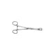 Foester Sponge Forcep, Straight, 9-1/2"
